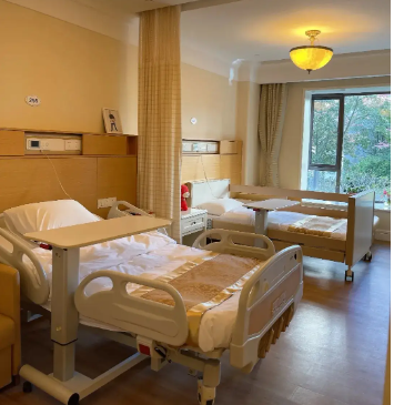 1740638182349031924.png 1740638175649.png