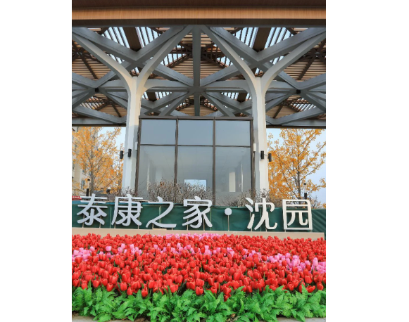 1750052936671.png