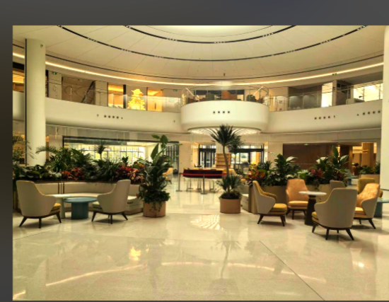 1761879205503029031.png 9d0ed658-498a-480a-aea9-00c69c485426.png