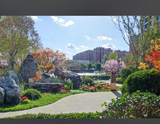 1767926926843016538.png 4ffcb334-860d-4fa0-8f20-c47ae5773cb9.png