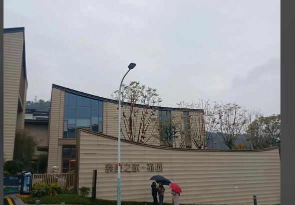 1768186061283023220.png d68a3880-af25-433a-83e6-022044a24d7c.png