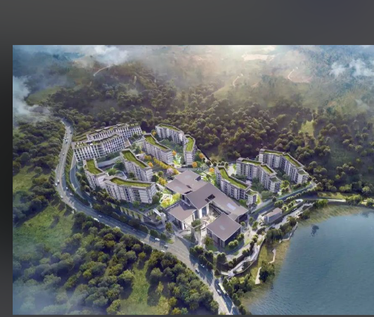 1768186102706084610.png a3b688dc-59e4-4640-9db7-9a97f5a6eada.png