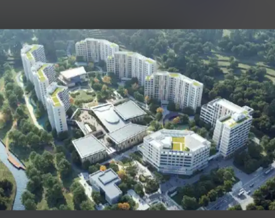 1769566145840006768.png d1b24866-e148-48ca-8a4e-07506b1a5ae2.png