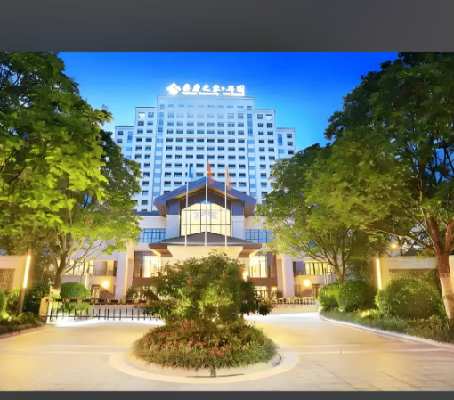 1773627336448021443.png c2a93fec-8058-48a8-9d3d-689edaa7e0b9.png