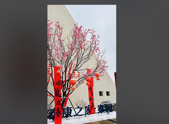 4a2ad95f-68c8-428d-807a-0932a14ae852.png