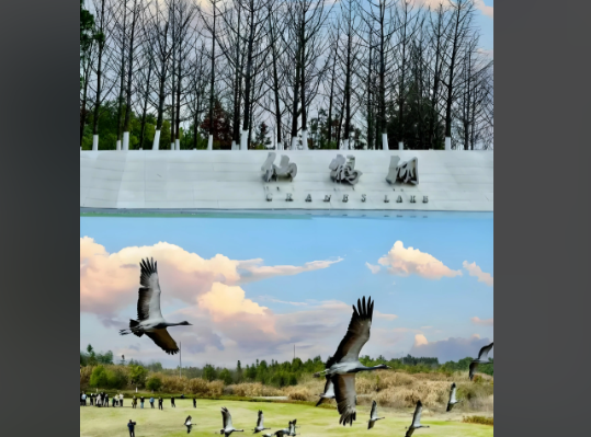 31a20f7d-04c6-4c2e-bafa-e720181c5e34.png